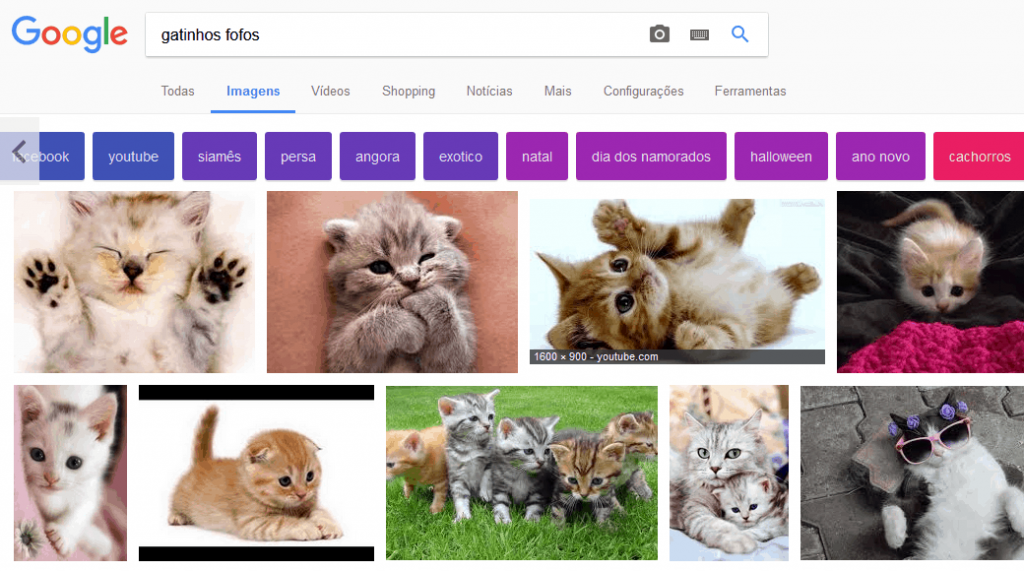 Thumbnails de gatinhos no Google Imagens