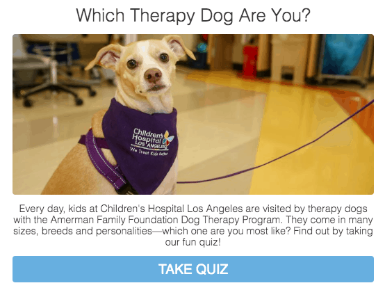 Which Therapy Dog are you?