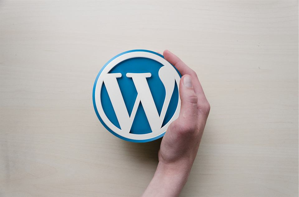 Imagem com logo do WordPress. Saiba como criar o seu site na plataforma.
