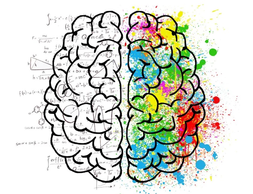Imagem de cérebro em desenho, de um lado colorido e o outro com cálculos. Pense no criativo da sua campanha publicitária