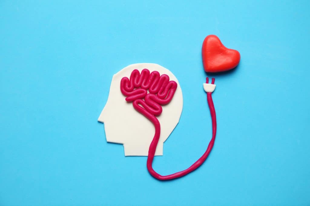 Cérebro e coração de massinha são conectados por uma linha