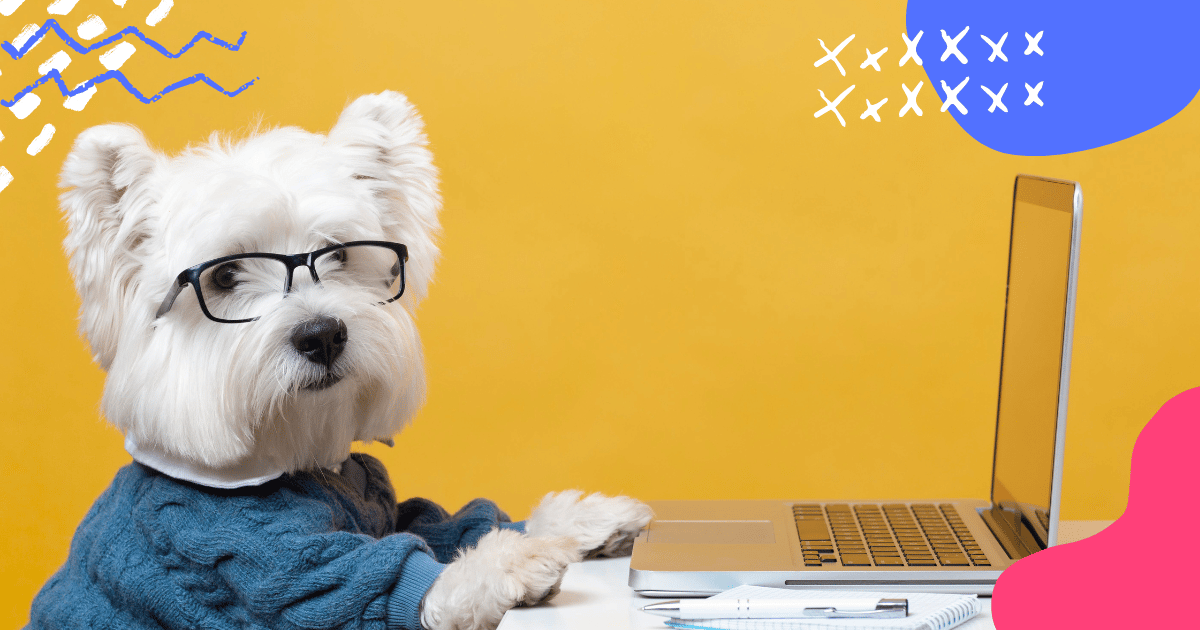 Cachorrinho branco, de óculos, com um notebook em sua frente fazendo marketing para Pet Shop
