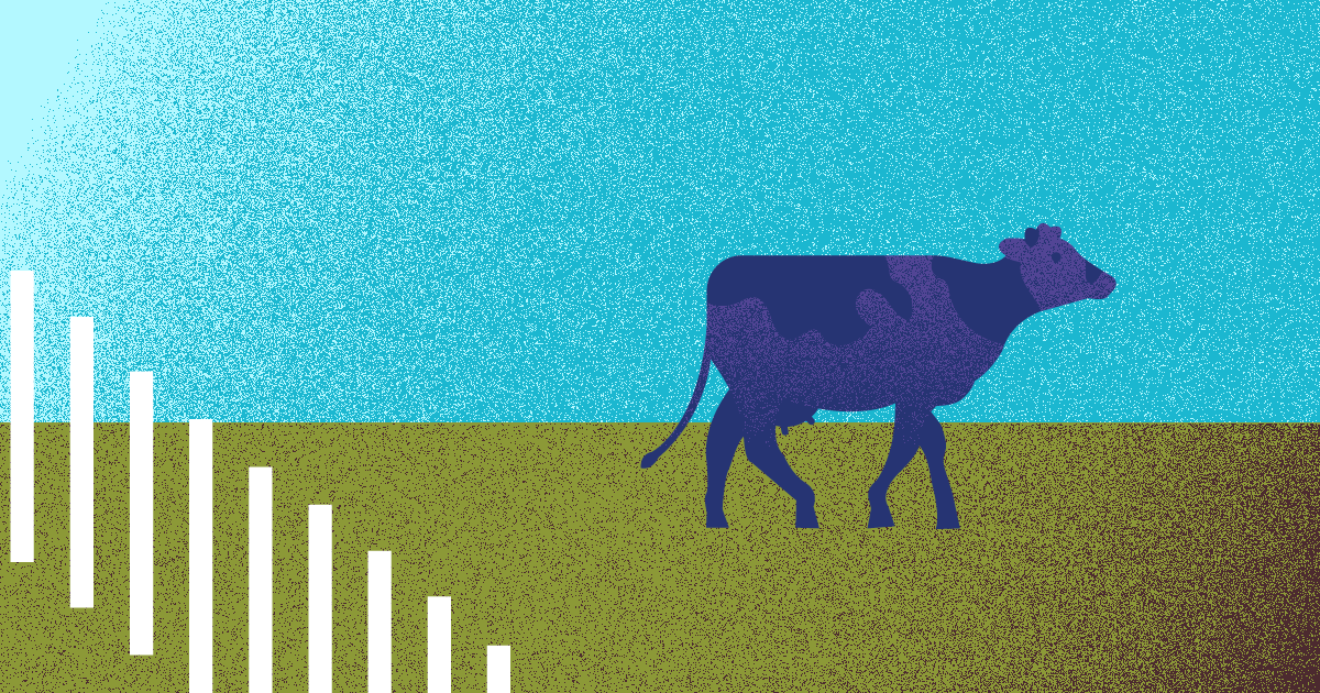 Vaca púrpura: destacar es más sencillo de lo que imaginas - Diana