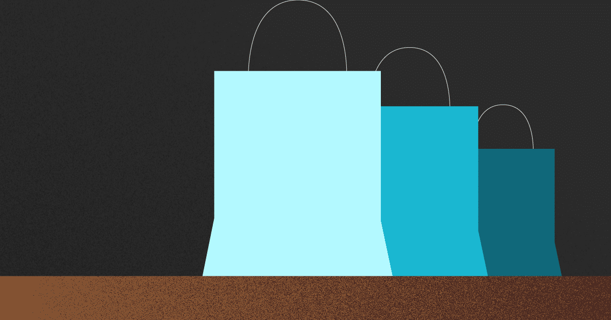 tipos de consumidores - bolsas de compras