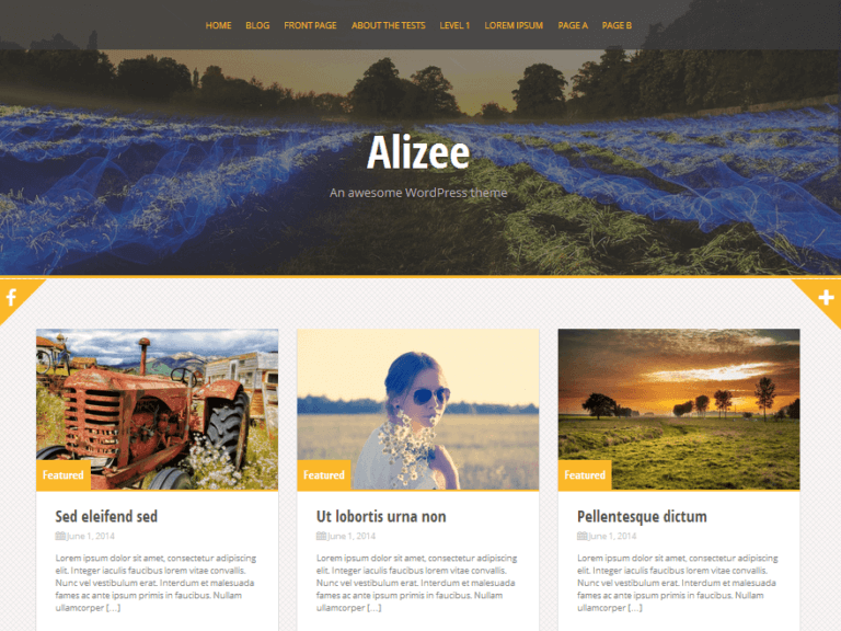 alizee themes wordpress