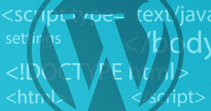 the most useful and importante wordpress functions