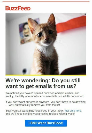buzzfeed's email