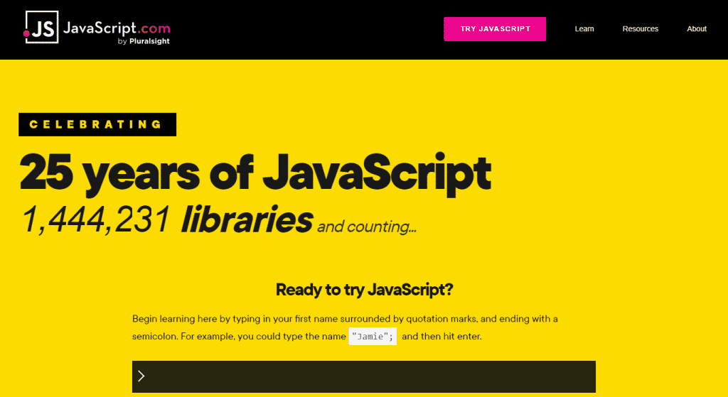 JavaScript website