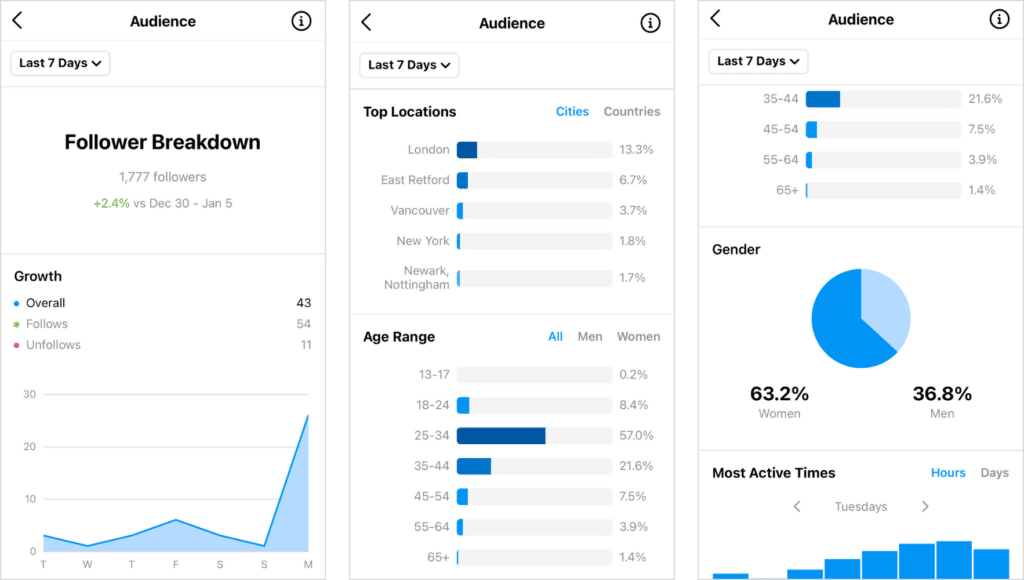 Instagram's analytics screenshot showing growth and demographic data