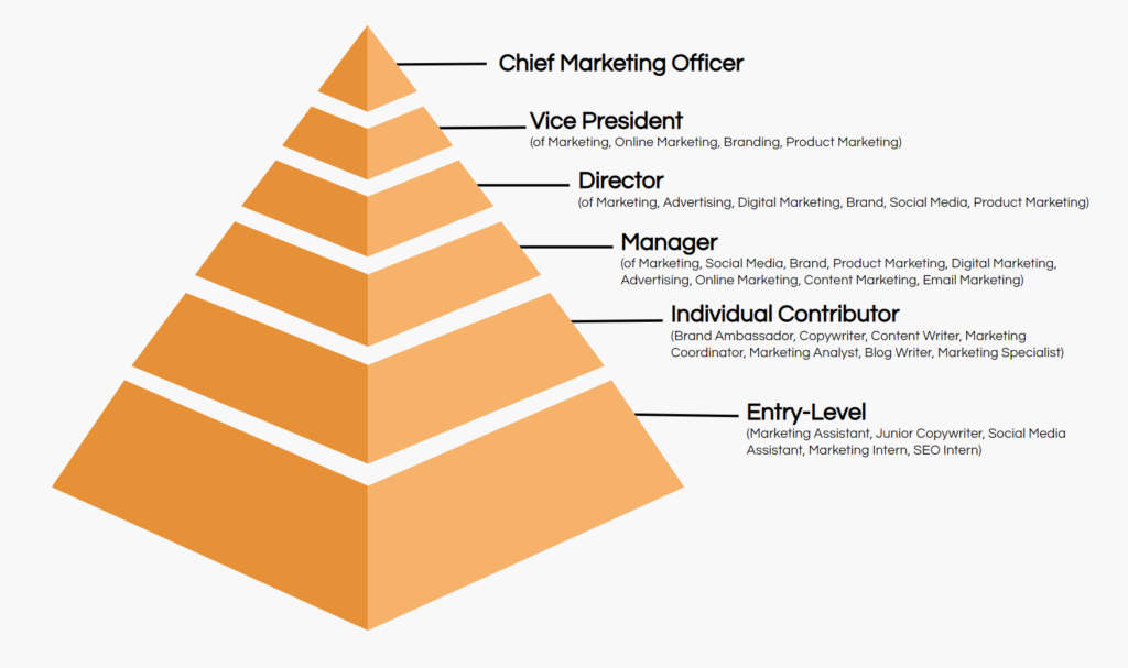 Hierarchy/org chart of the 6 core levels of marketing job titles